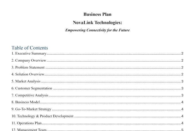 write a professional business plan for your company